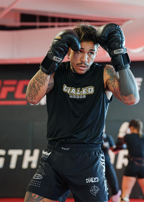 ANDRE FILI